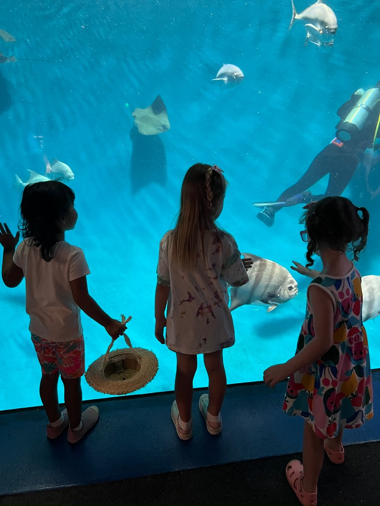 A silhouette of three children backlit by an aquarium sized pool with a diver in it