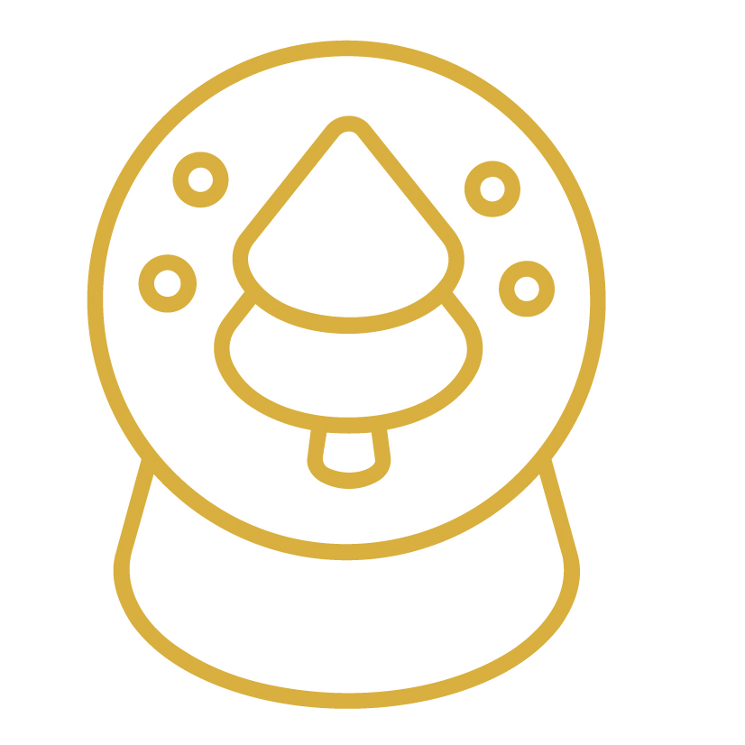 snow globe icon