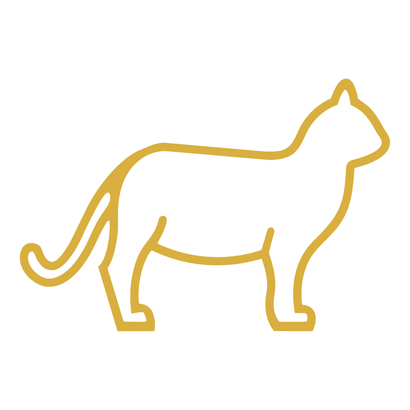 cat icon